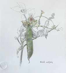 Back to Basics: A Still Life Drawing Class with Susie Wilson