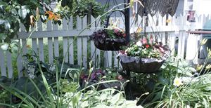 31st Annual Oak Park and River Forest Garden Walk