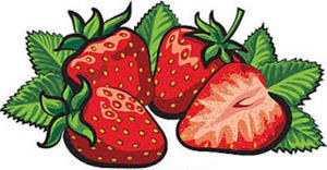 4th Annual Strawberry Festival & Craft Fair