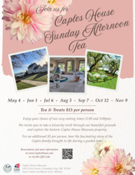 Sunday Afternoon Tea