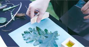 Maker Mornings: Exploring Natural Materials