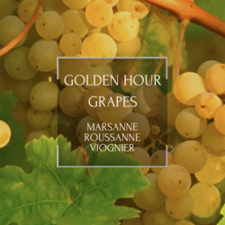 Golden Hour Grapes: Marsanne, Roussanne, Viognier