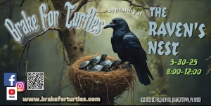 Brake For Turtles LIVE at The Raven's Nest