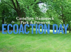Volunteer EcoAction Day - Castellow Hammock Park & Preserve