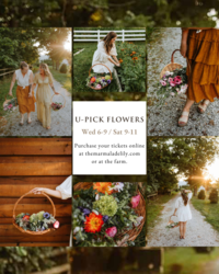 U-Pick Flowers