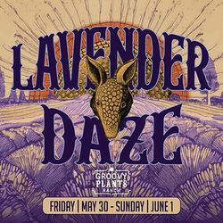 Lavender Daze at Groovy Plants Ranch