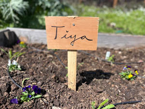 Feast for a Cause: Postcard from Hawk Creek Farm at Tiya ​​A Brunch Fundraiser