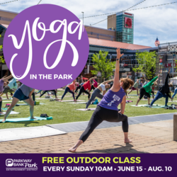 Fitness in the Park: Yoga in the Park