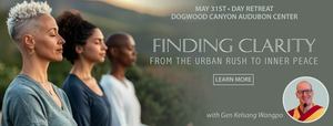 Finding Clarity: From the Urban Rush to Inner Peace