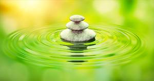 Mindfulness Meditation