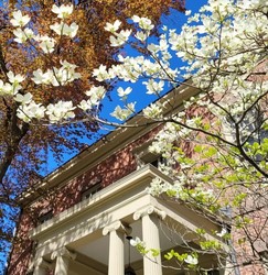 Cabinets, Cupboards & Curiosities: Ten Broeck Hidden Architecture & Spaces
