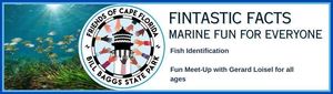 Fintastic Facts: Marine Fun