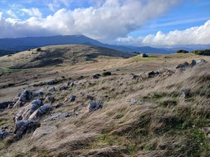 Go Wild! Marin 2 Hr, 4 Hr