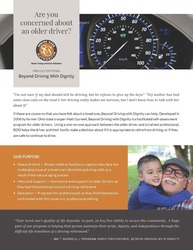 Beyond Driving With Dignity