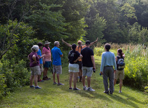 Free Sunday Guided Bird Walk