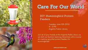 Care For Our World: DIY Hummingbird Protein Feeders