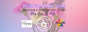 Stewie's Spring Fling benefiting Rags to Riches Animal Shelter