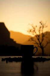 Cafely’s Special Blend for National Coffee Day