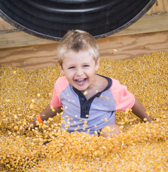 Fall Fun on the Farm