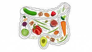 ACE - The Gut Microbiome: Conductor of the Body's Organs?