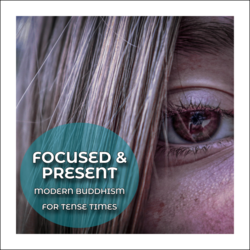 Focused & Present: Modern Buddhism for Tense Times