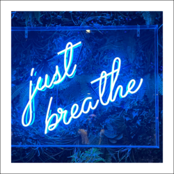 Just Breathe - 2 Live-Streamed Meditations