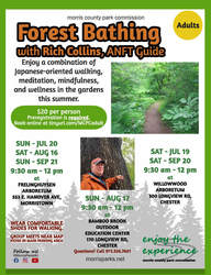 Forest Bathing at Frelinghuysen Arboretum