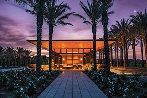Caymus-Suisun Winery Luau