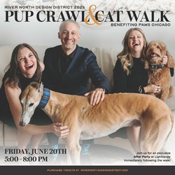 Pup Crawl & Cat Walk