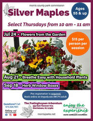 Silver Maples: Herb Window Boxes