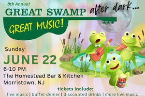 Great Swamp Great Music After Dark