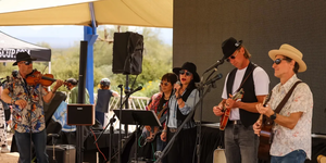 String Pilots *Acoustic Rock String Band*