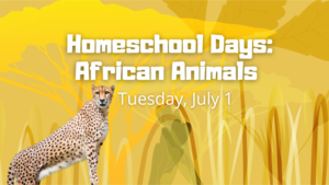 Homeschool Day: African Animals