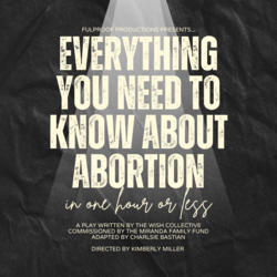 Everything You Need to Know About Abortion in One Hour or Less