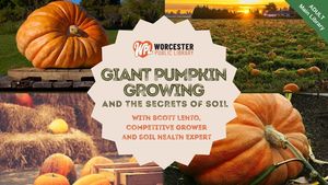 Giant Pumpkin Growing and the Secrets of Soil