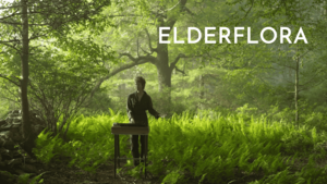 Elderflora