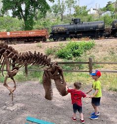 Dinosaur Express Train