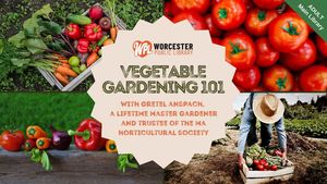 Vegetable Gardening 101