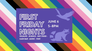 First Friday Nights at CuriOdyssey