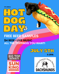 Hot Dog Day at The Bazaar