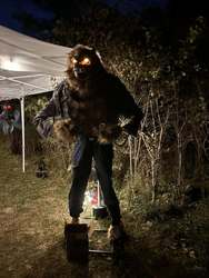 Haunted Trail At Maumee Bay State Park