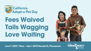 California Adopt-a-Pet Day at Valley Humane Society