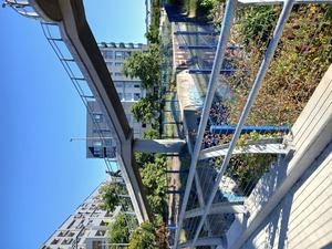 East Bay Pop-up 5K, 10K Scramble