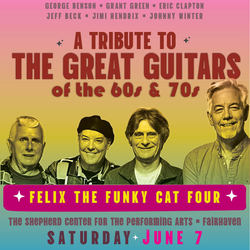 Felix The Funky Cat Four at the Shepherd Center