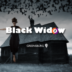 Black Widow Escape Room