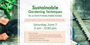 Sustainable Gardening Techniques for an Earth-Friendly Garden