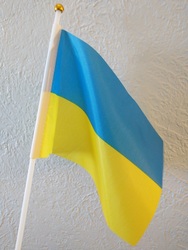 Basket raffle, plant sale and hot dog sale