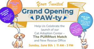 Grand Opening of The Rescue Crew's Cat Adoption Center in Andover