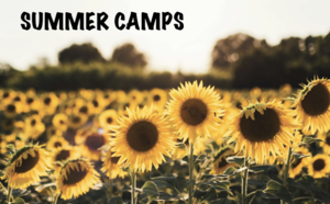Summer Camps Offered at Webster University