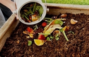 Chappaqua Library Program: Learn Composting